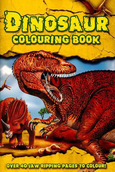 DINOSAUR COLOURING BOOK - 9781847509772