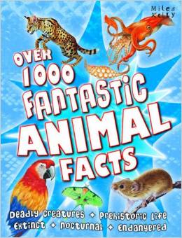 Children's and teenage: general non-fiction - Over 1000 Fantastic