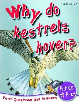 FIRST Q & A - WHY DO KESTRELS HOVER -  Anne Claybourne - 9781848106383