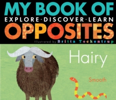 My Book of Opposites - 9781848957046