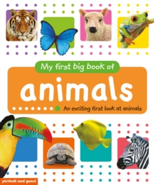 My First Big Book of Animals - 9781912646074