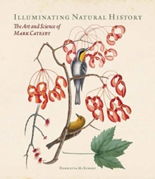 Illuminating Natural History - The Art and Science of Mark Catesby - Mcburney Henrietta - 9781913107192