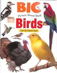 BIG PICTURE BOARD BOOK - BIRDS - 9788196245290