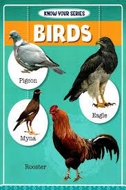 KNOW YOUR  - BIRDS - 9789388543262