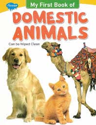 KNOW YOUR  - DOMESTIC ANIMALS - 9789388543286