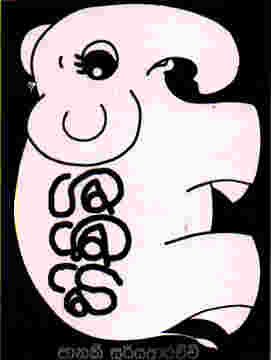 Hichchi - 9789558251423