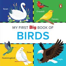 MY FIRST BIG BOOK OF BIRDS - 9789815127485